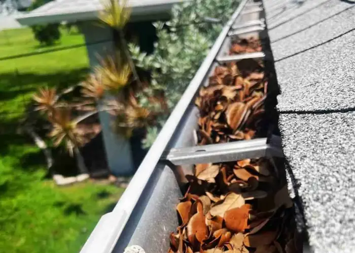 Chadds Ford gutter cleaning home page